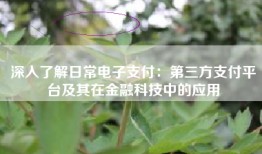 深入了解日常电子支付：第三方支付平台及其在金融科技中的应用