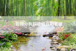 如何分析投资组合的表现