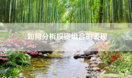 如何分析投资组合的表现