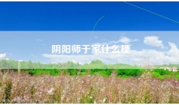 阴阳师于家什么梗