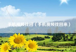 手机视频找回（手机视频找回来）