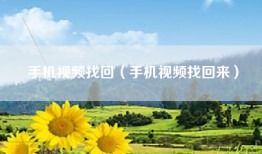 手机视频找回（手机视频找回来）