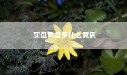 买盘卖盘是什么意思