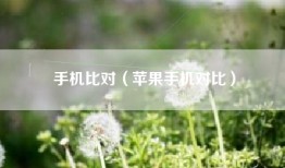 手机比对（苹果手机对比）