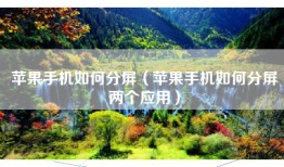 苹果手机如何分屏（苹果手机如何分屏两个应用）