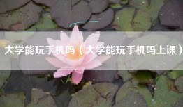 大学能玩手机吗（大学能玩手机吗上课）