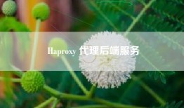 Haproxy 代理后端服务