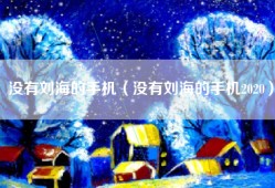 没有刘海的手机（没有刘海的手机2020）