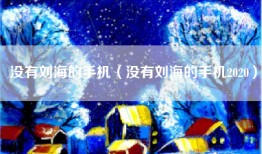没有刘海的手机（没有刘海的手机2020）