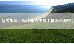 超大电量手机（超大电量手机怎么充电）