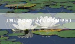 手机话费查询电信（话费查询 电信）