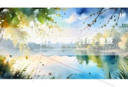 Shopify靠什么引流？付费+免费
