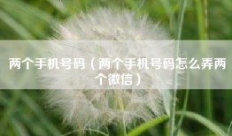两个手机号码（两个手机号码怎么弄两个微信）