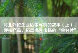 河北外贸企业危中寻机的故事（上）｜硬核产品，拓展海外市场的“金名片”