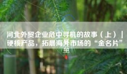 河北外贸企业危中寻机的故事（上）｜硬核产品，拓展海外市场的“金名片”