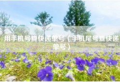 用手机号查快递单号（手机尾号查快递单号）