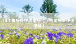 用手机号查快递单号（手机尾号查快递单号）