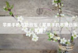苹果手机本地音乐（苹果手机本地音乐在哪）
