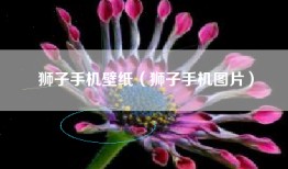狮子手机壁纸（狮子手机图片）