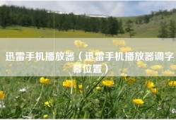 迅雷手机播放器（迅雷手机播放器调字幕位置）