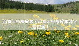 迅雷手机播放器（迅雷手机播放器调字幕位置）
