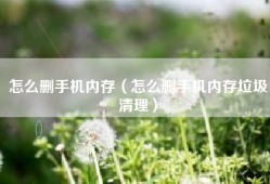 怎么删手机内存（怎么删手机内存垃圾清理）