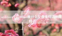 mydrivers（mydrivers是什么文件夹可以删除吗）
