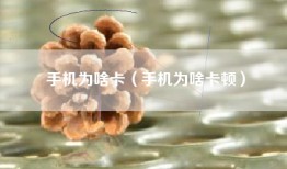 手机为啥卡（手机为啥卡顿）