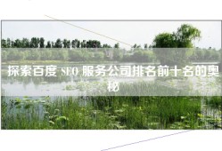 探索百度 SEO 服务公司排名前十名的奥秘