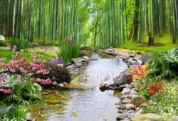 儿童医院黄牛票贩子挂号电话微信—北京市预约挂号统一平台