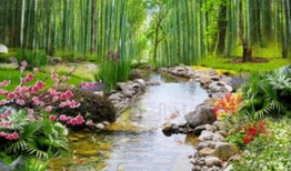 儿童医院黄牛票贩子挂号电话微信—北京市预约挂号统一平台