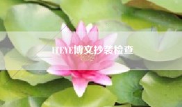 ITEYE博文抄袭检查