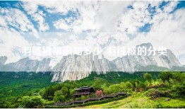 羽绒被常识知多少 羽绒被的分类