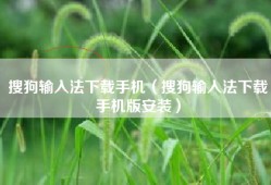 搜狗输入法下载手机（搜狗输入法下载手机版安装）