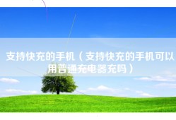 支持快充的手机（支持快充的手机可以用普通充电器充吗）
