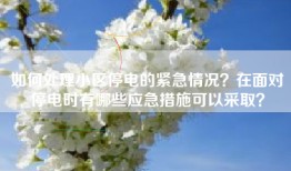 如何处理小区停电的紧急情况？在面对停电时有哪些应急措施可以采取？