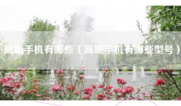 高端手机有哪些（高端手机有哪些型号）