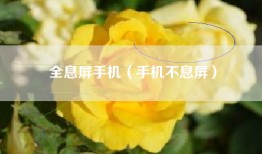 全息屏手机（手机不息屏）
