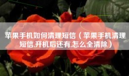 苹果手机如何清理短信（苹果手机清理短信,开机后还有,怎么全清除）