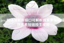 java 短链接解析接口可解析拼多多短链接 拼多多短链接生成器