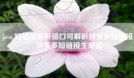 java 短链接解析接口可解析拼多多短链接 拼多多短链接生成器