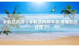 手机总内存（手机总内存不足,清理后还这样）