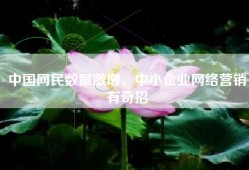 中国网民数量激增，中小企业网络营销有奇招