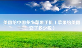 美国给中国多少苹果手机（苹果给美国交了多少税）