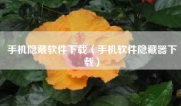 手机隐藏软件下载（手机软件隐藏器下载）