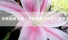 手机相册空间（手机相册空间怎么清理）