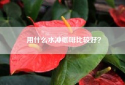 用什么水冲咖啡比较好？
