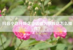 抖音小店升级企业店铺为旗舰店怎么操作？