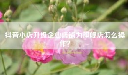抖音小店升级企业店铺为旗舰店怎么操作？