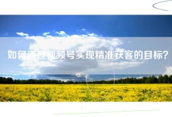 如何通过视频号实现精准获客的目标？